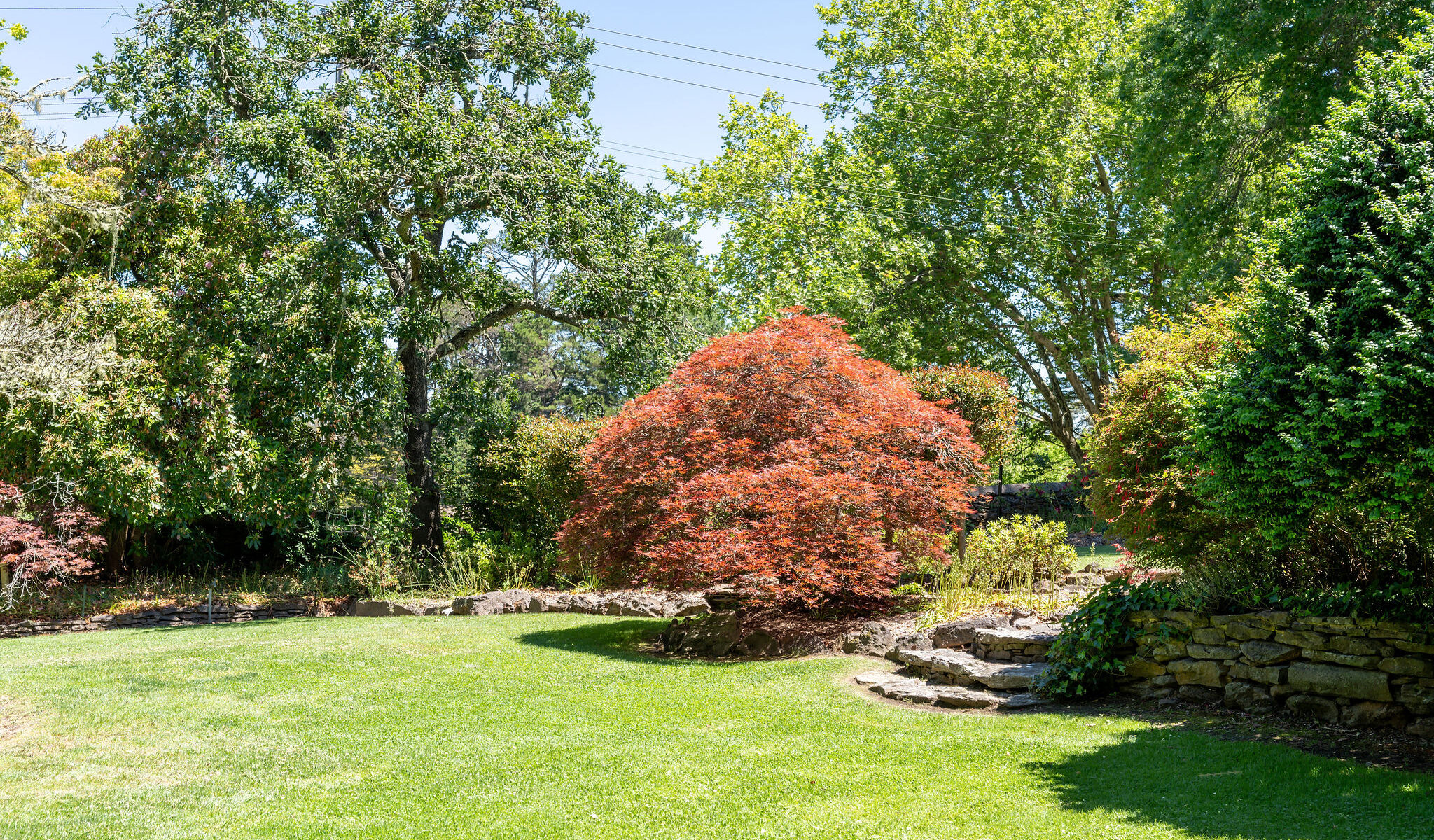 The gardens at Leura Garden Resort