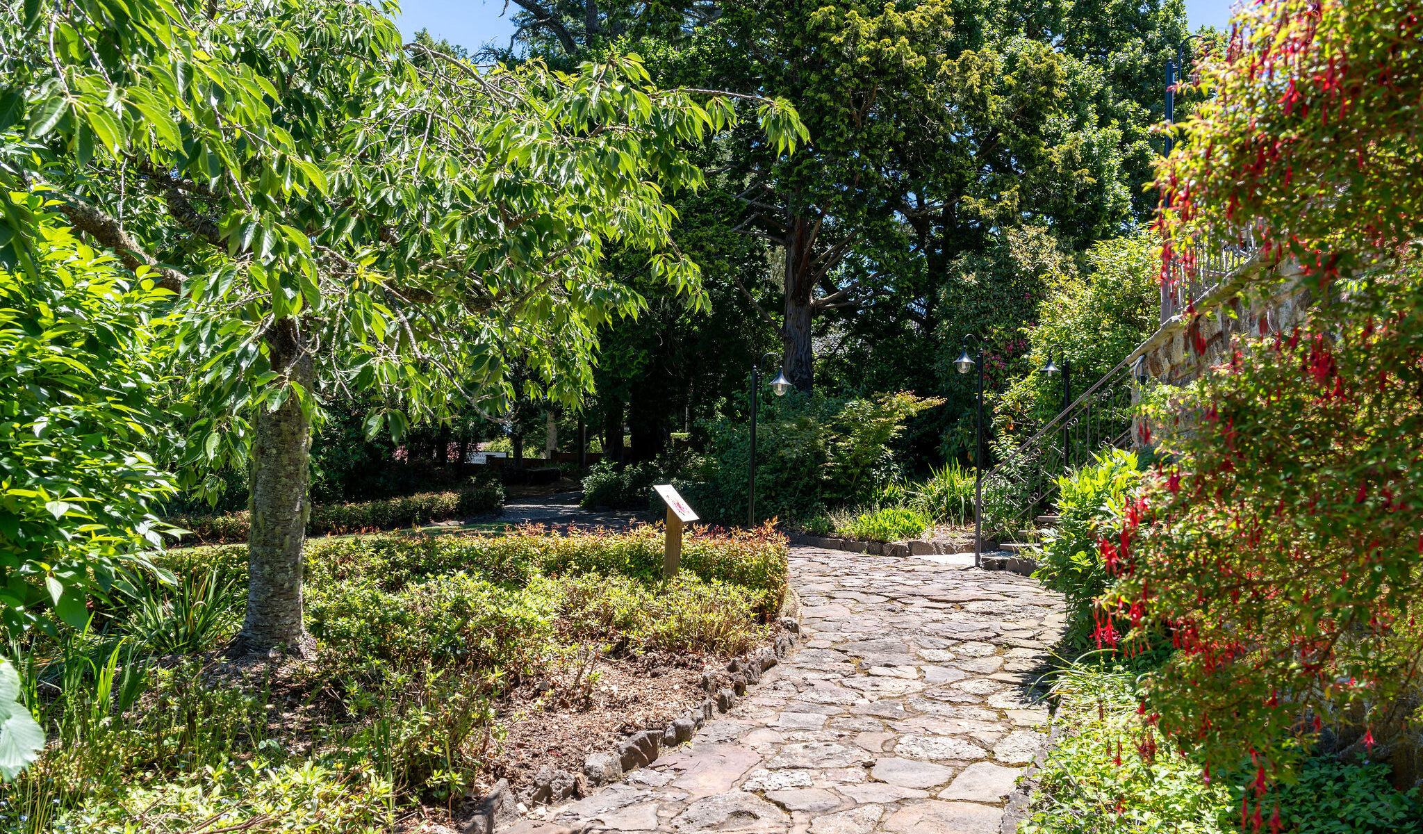 The gardens at Leura Garden Resort