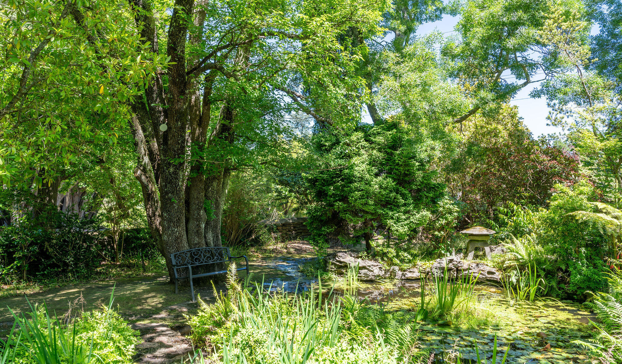 The gardens at Leura Garden Resort