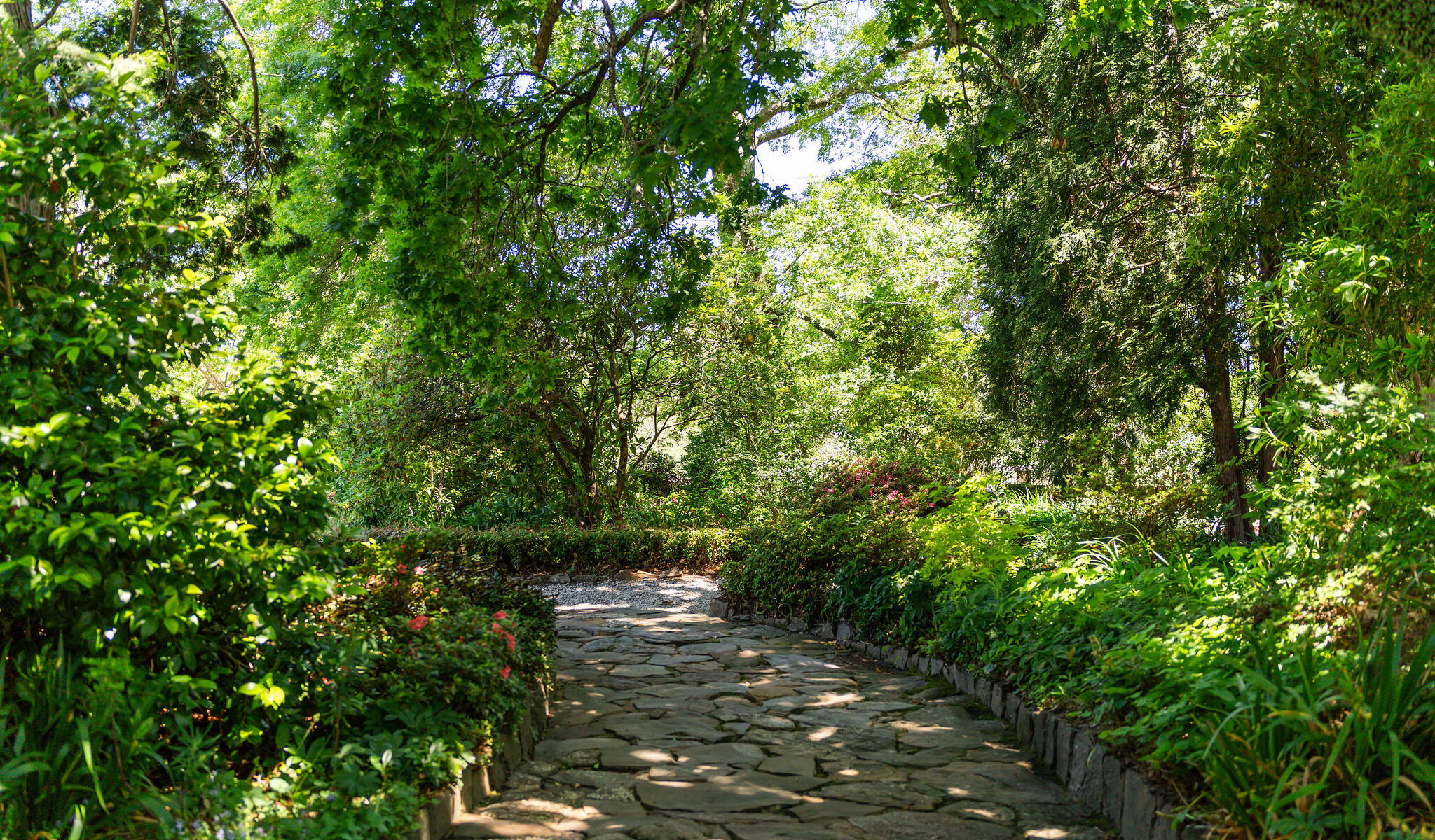 The gardens at Leura Garden Resort